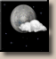 Overnight: Mostly Clear